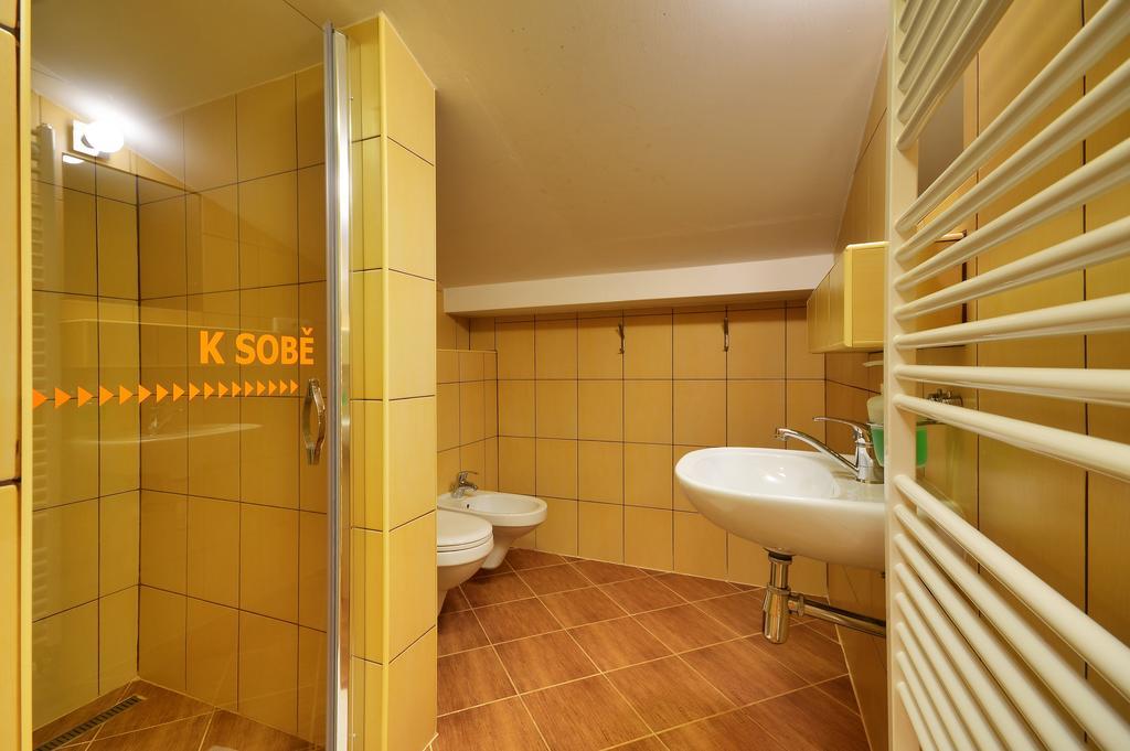 U Zaloudku Apartment Dolní Morava